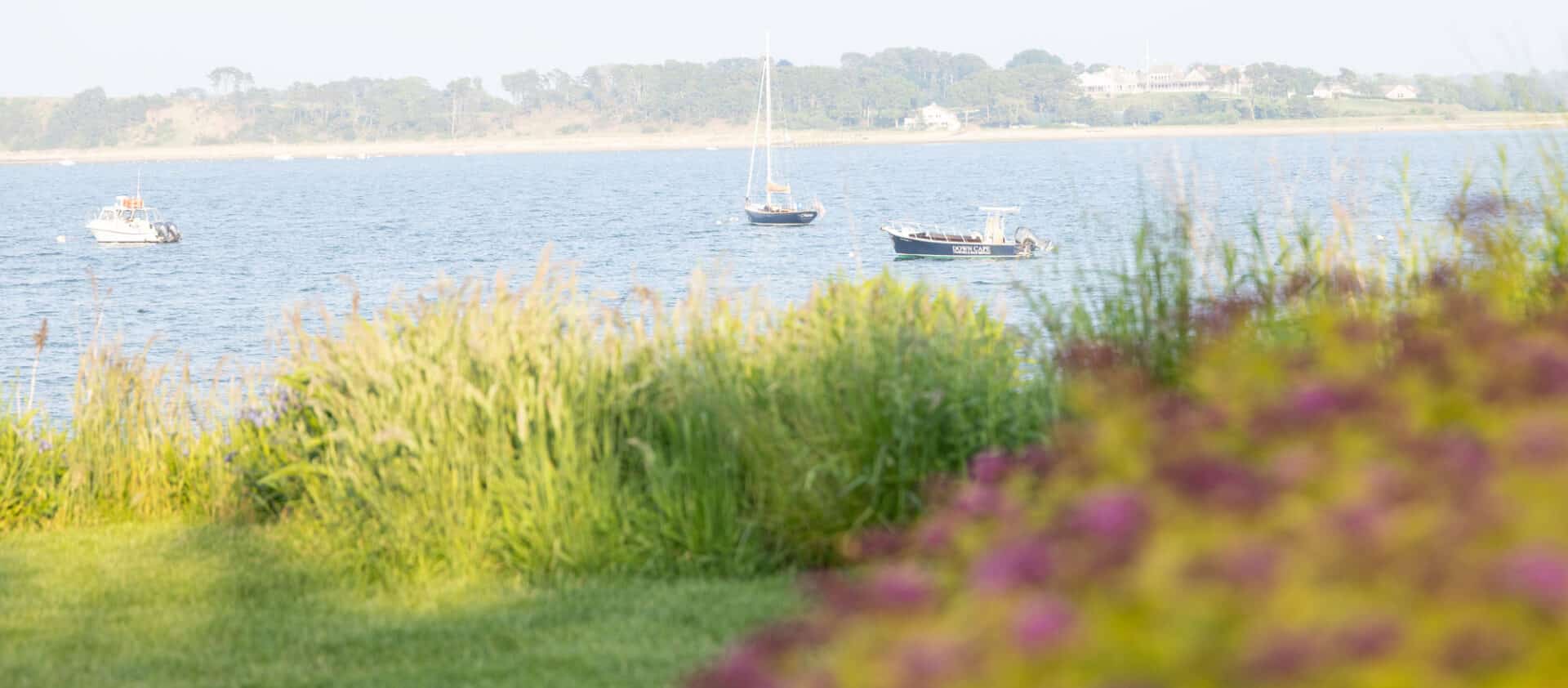 Three boats float on a calm body of water with grassy shore and flowering plants in the foreground and a distant tree-lined coastline.