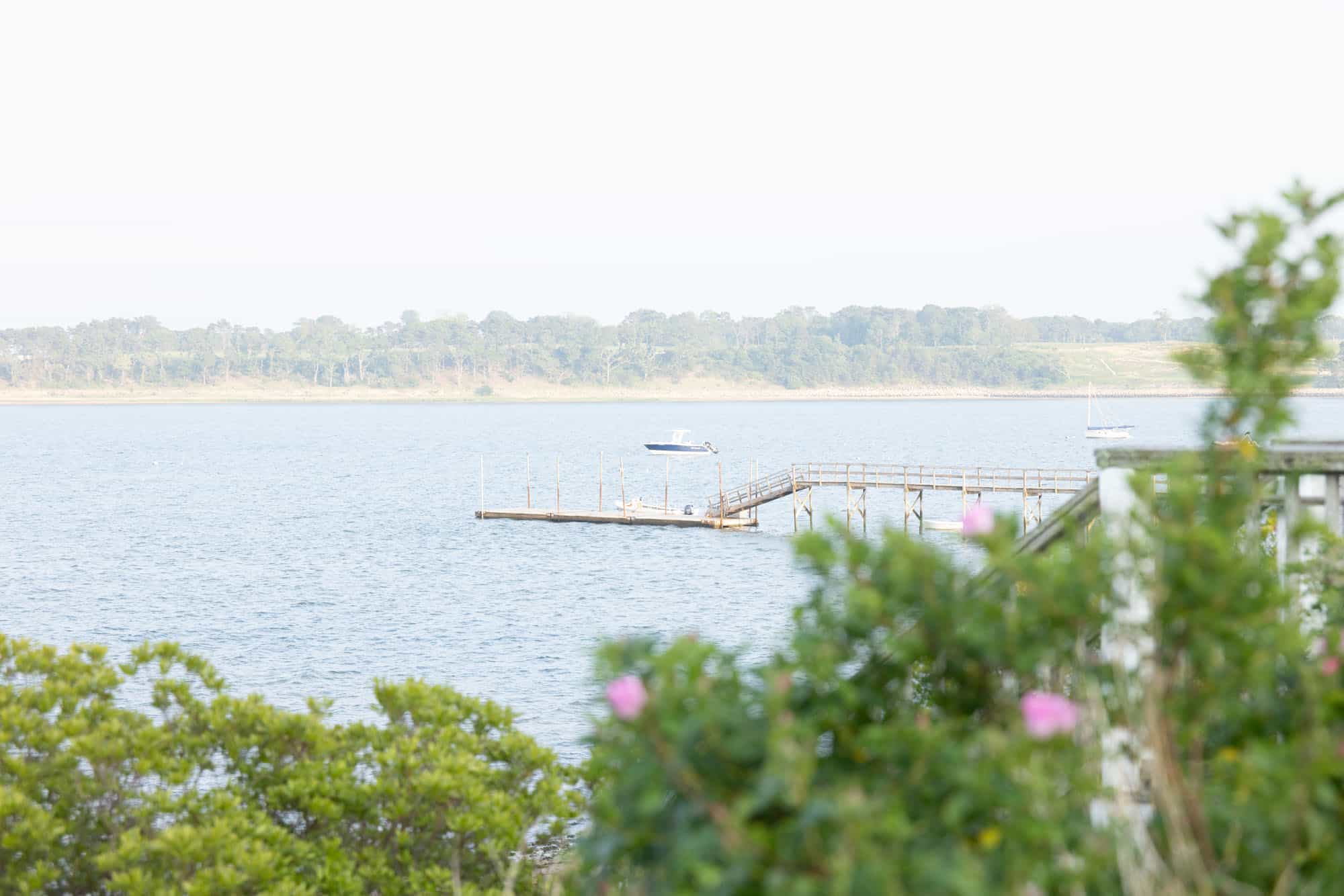 A wooden dock extends into a calm body of water, with a boat in the distance and leafy bushes with pink flowers in the foreground. Trees line the opposite shore.