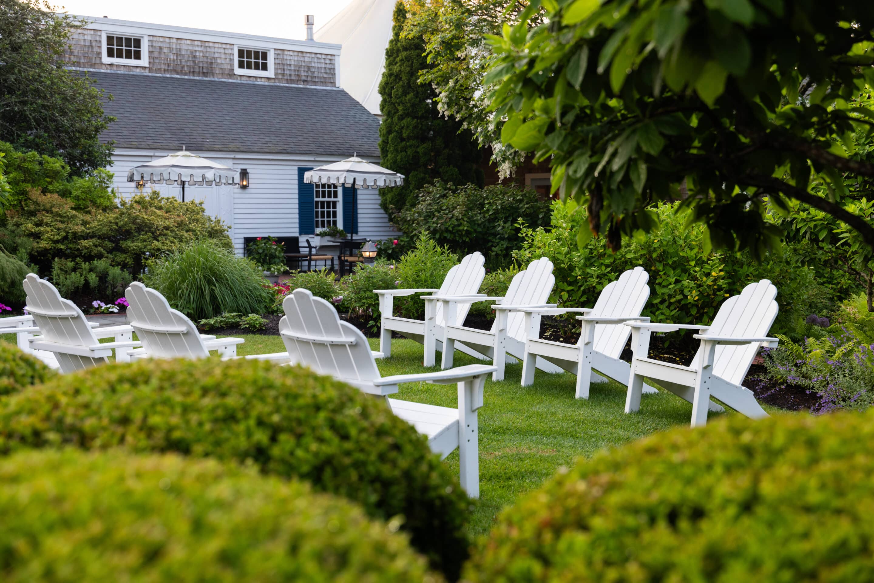 A row of white Adirondack chairs is arranged on a grassy lawn with shrubs and trees, facing a house with a gray roof and blue shutters—perfect for relaxing at one of the charming Cape Cod resorts.