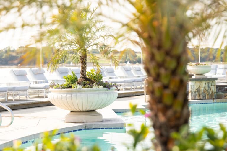 Large potted palm trees and flowers border a swimming pool with white lounge chairs in the background, overlooking a body of water on a sunny day.