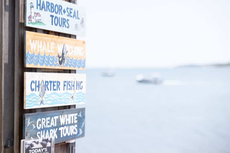 Four wooden signs on a post advertise harbor seal tours, whale watching, charter fishing, and great white shark tours by the water, with a blurred boat in the background.