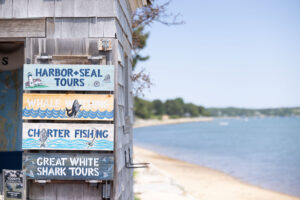 Weathered wooden signs on a beachside shack advertise On the Water experiences like harbor seal tours, whale watching, charter fishing, and great white shark tours; calm water and sandy shore in the background.