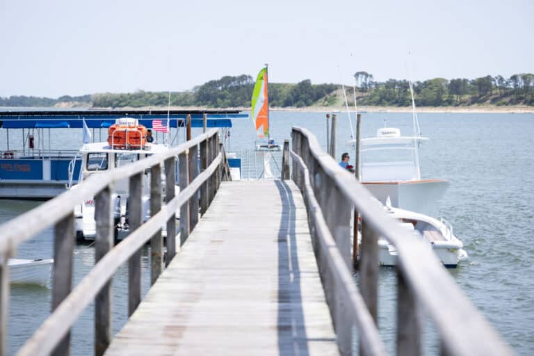 A wooden dock extends over the water toward boats, with one boat docked on each side—one featuring a solar-powered sail. In the distance, trees line the shore and a colorful sail brightens the background.