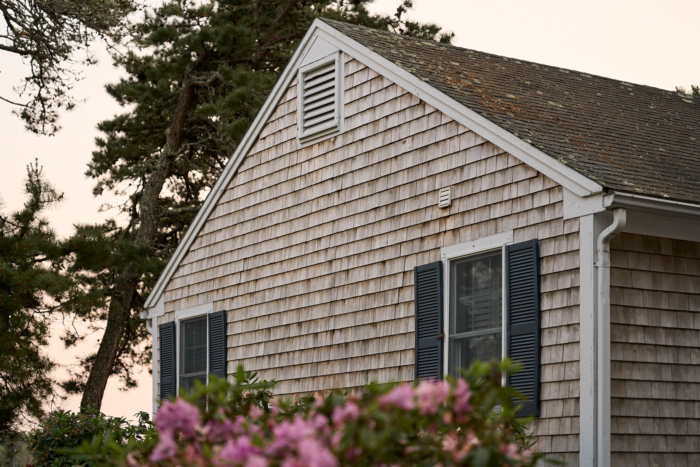 A light brown shingled house with dark shutters and two windows, surrounded by trees and pink flowers under a pale sky, evokes the timeless charm of Wequassett as it celebrates its 100 years anniversary.