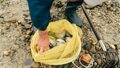 A person in boots collects clams in a yellow mesh bag on a rocky shore near a Cape Cod hotel, with a clam rake visible next to the bag.