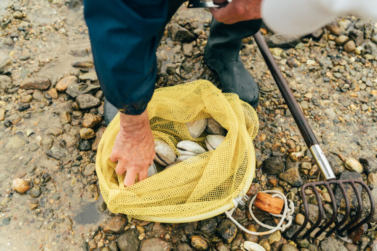 A person in boots collects clams in a yellow mesh bag on a rocky shore near a Cape Cod hotel, with a clam rake visible next to the bag.