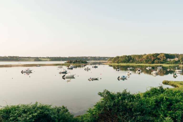 Calm body of water with several small boats anchored in Pleasant Bay, surrounded by green vegetation and distant trees under a clear sky—an ideal spot for birdwatching.