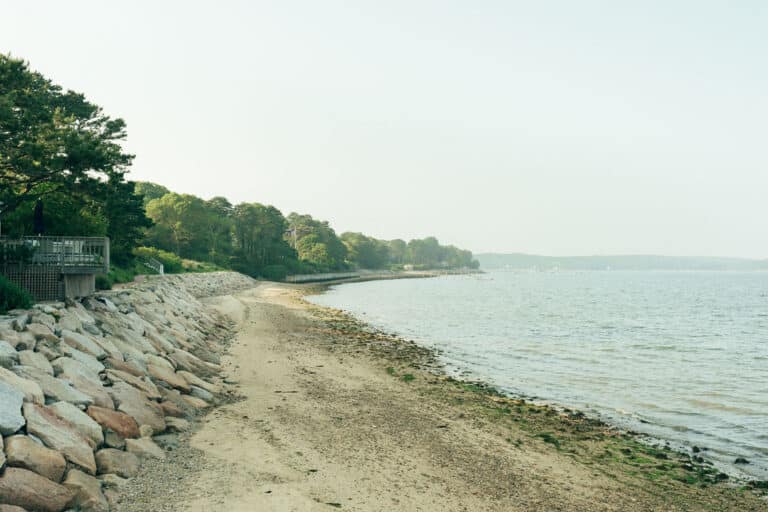 A rocky shoreline with a sandy beach and calm water, bordered by trees and a wooden fence on the left side.
