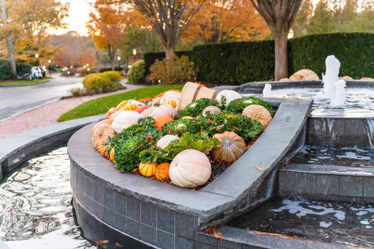 A variety of pumpkins and gourds are displayed with greenery by a fountain at Wequassett, capturing the spirit of Thanksgiving amid Cape Cod’s vibrant autumn trees.