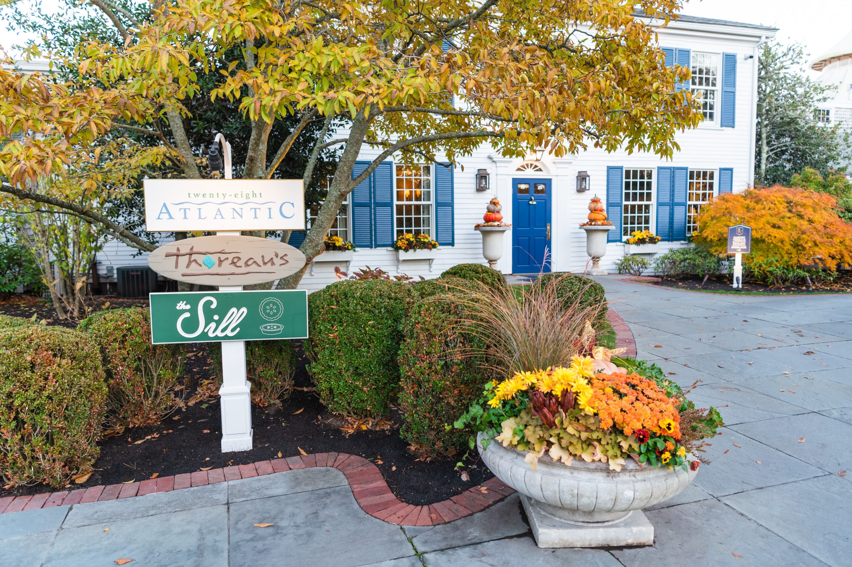A charming blue and white Cape Cod building with autumn decorations, a blue door, and signs for Atlantic, Threan's, and The Sill. A large flower planter sits in the foreground near trimmed bushes, adding to the inviting fall atmosphere.