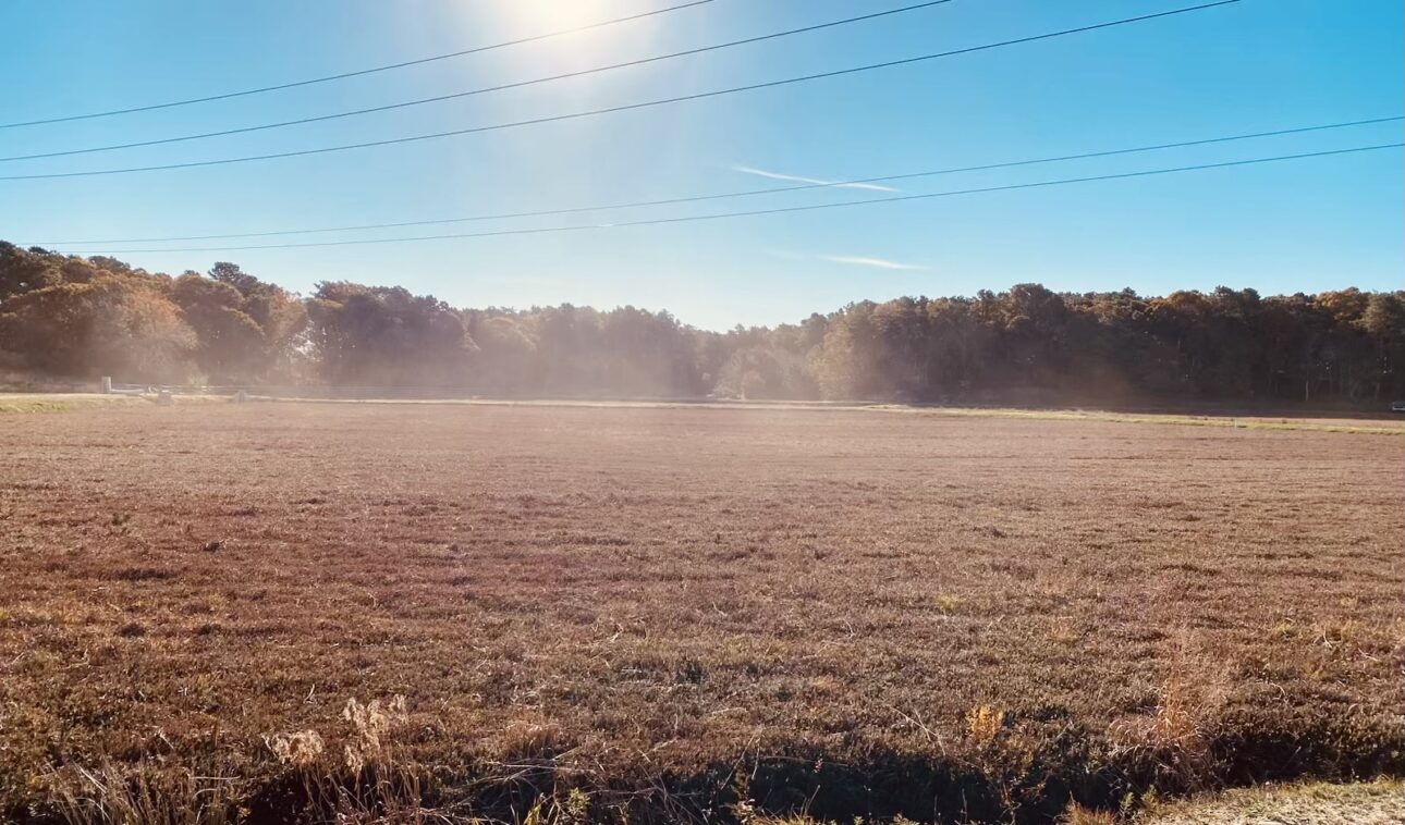 A flat, brown grass field under a clear blue sky with sunlight and power lines overhead; trees border the field in the background.