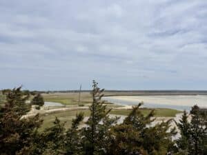 View of a coastal marshland with patches of water, grassy areas, and scattered shrubs under a mostly cloudy sky—perfect scenery for a Coastal Hatchery tour.