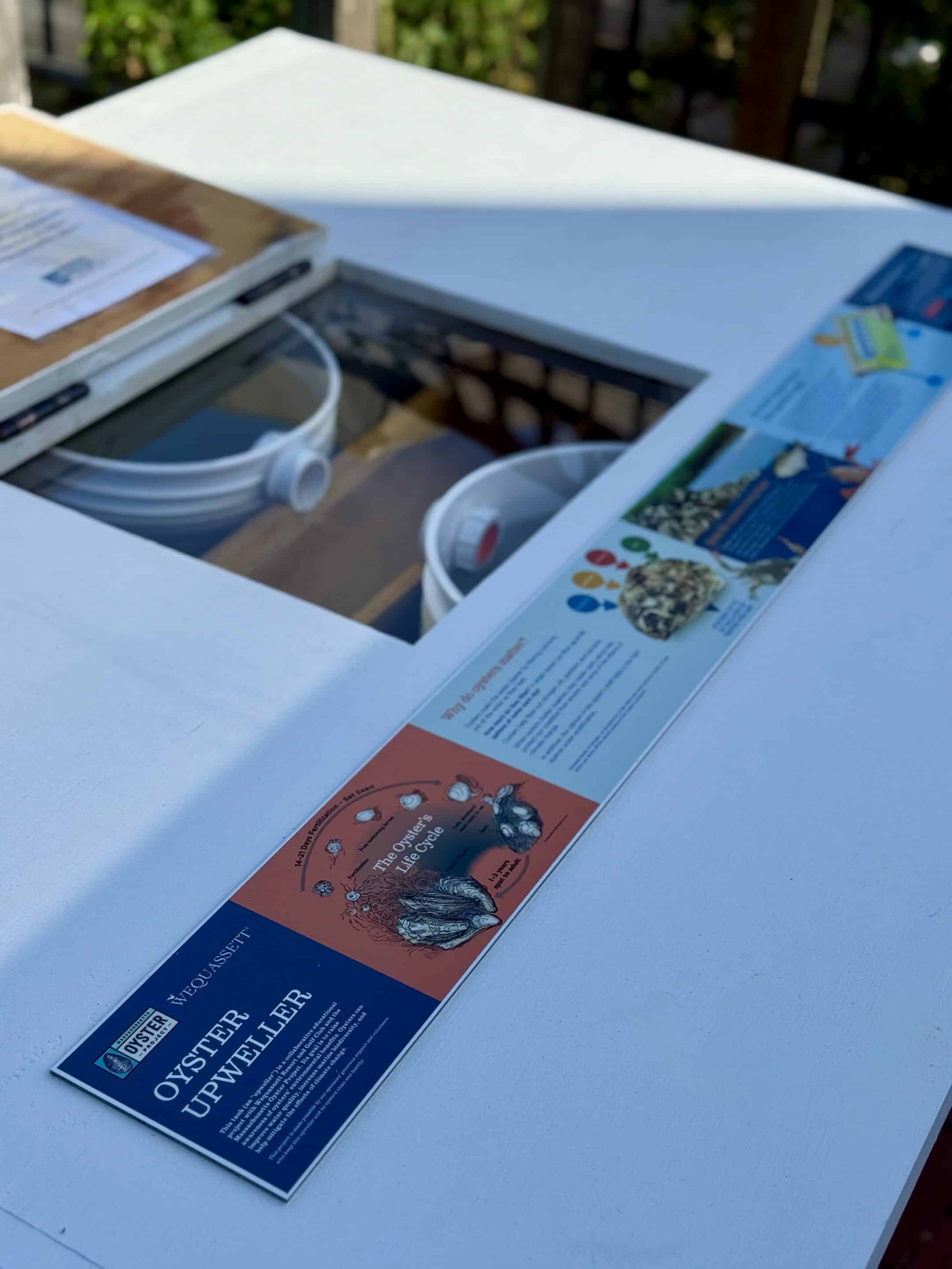 Informational sign about oyster upwellers and oyster farming is displayed on a white surface next to equipment, including white tubing, with sunlight casting shadows.