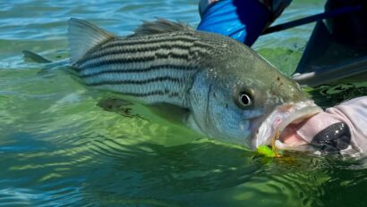 Orvis Fly Fishing