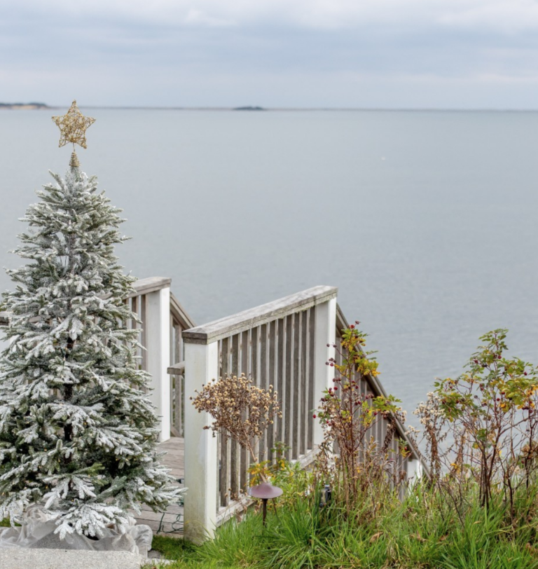 A snow-dusted artificial Christmas tree with a gold star stands near a wooden railing overlooking a calm body of water under a cloudy sky, creating a serene scene perfect for any Home Page during the festive season.