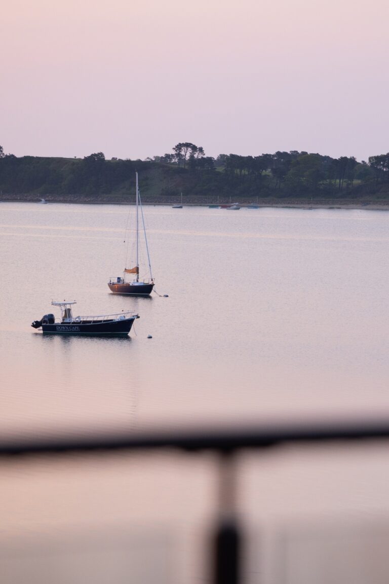 Two small boats float on calm water near a distant shore with trees, under a soft pink and purple sky at dusk.