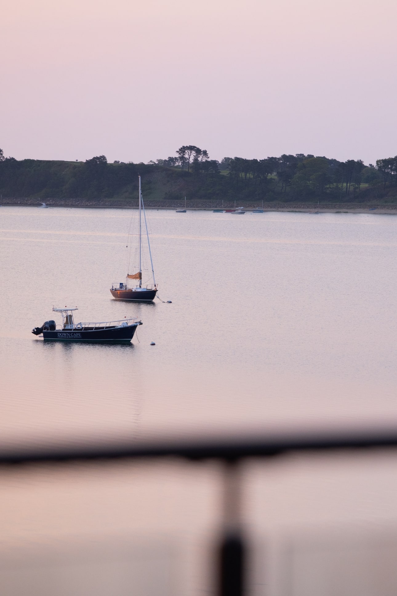 Two small boats float on calm water near a distant shore with trees, under a soft pink and purple sky at dusk.