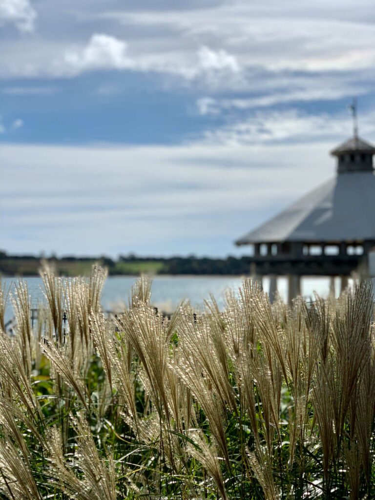 Gazebo behind grass.