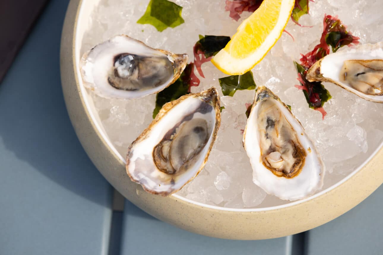 Four raw oysters on the half shell are served on a bed of ice with a lemon wedge and seaweed garnish in a round bowl, offering a taste of the sea reminiscent of The Verandahs’ signature coastal elegance.