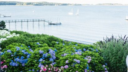 Flowers and ocean view.