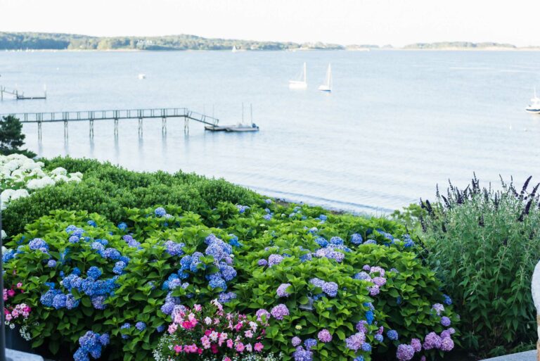 Flowers and ocean view.