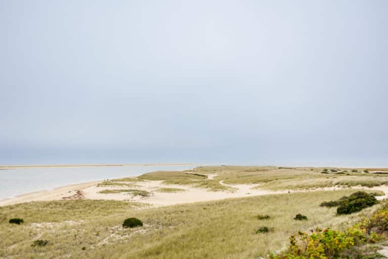 A sandy Outer Beach with grassy dunes stretches along a calm shoreline under an overcast sky, inviting a peaceful journey by the sea.